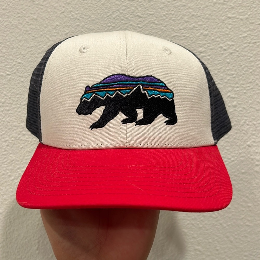 Patagonia hat